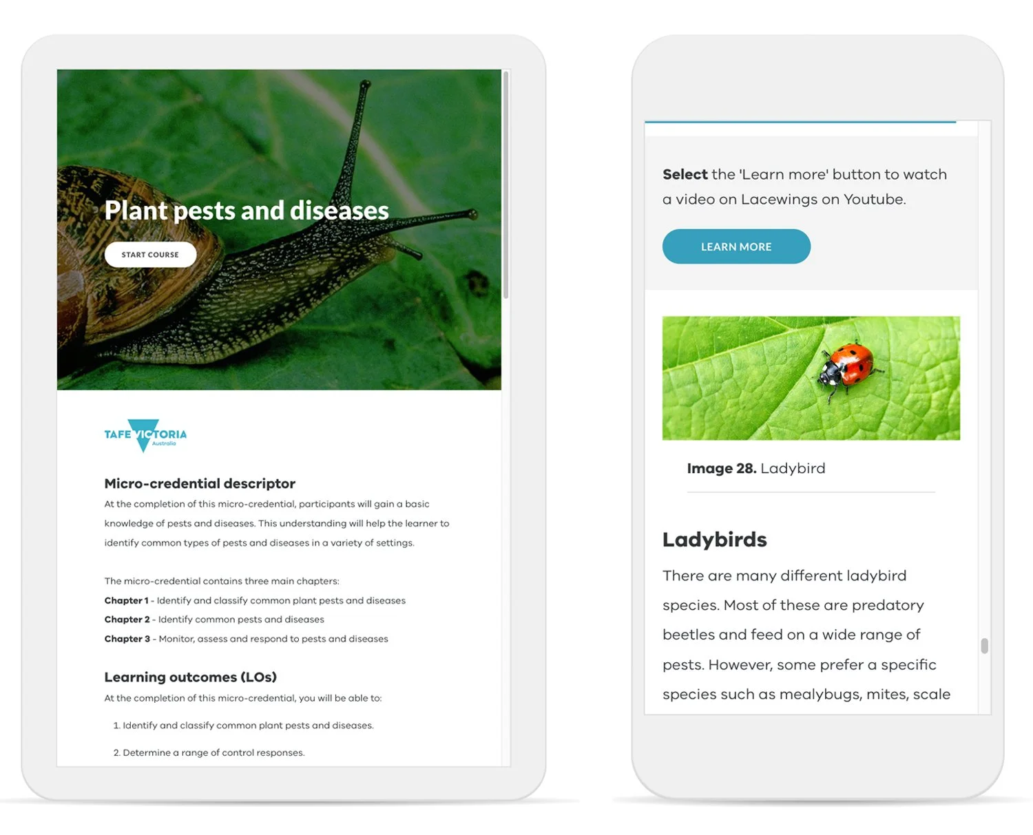 Plant-Pests-and-Diseases-02.jpg