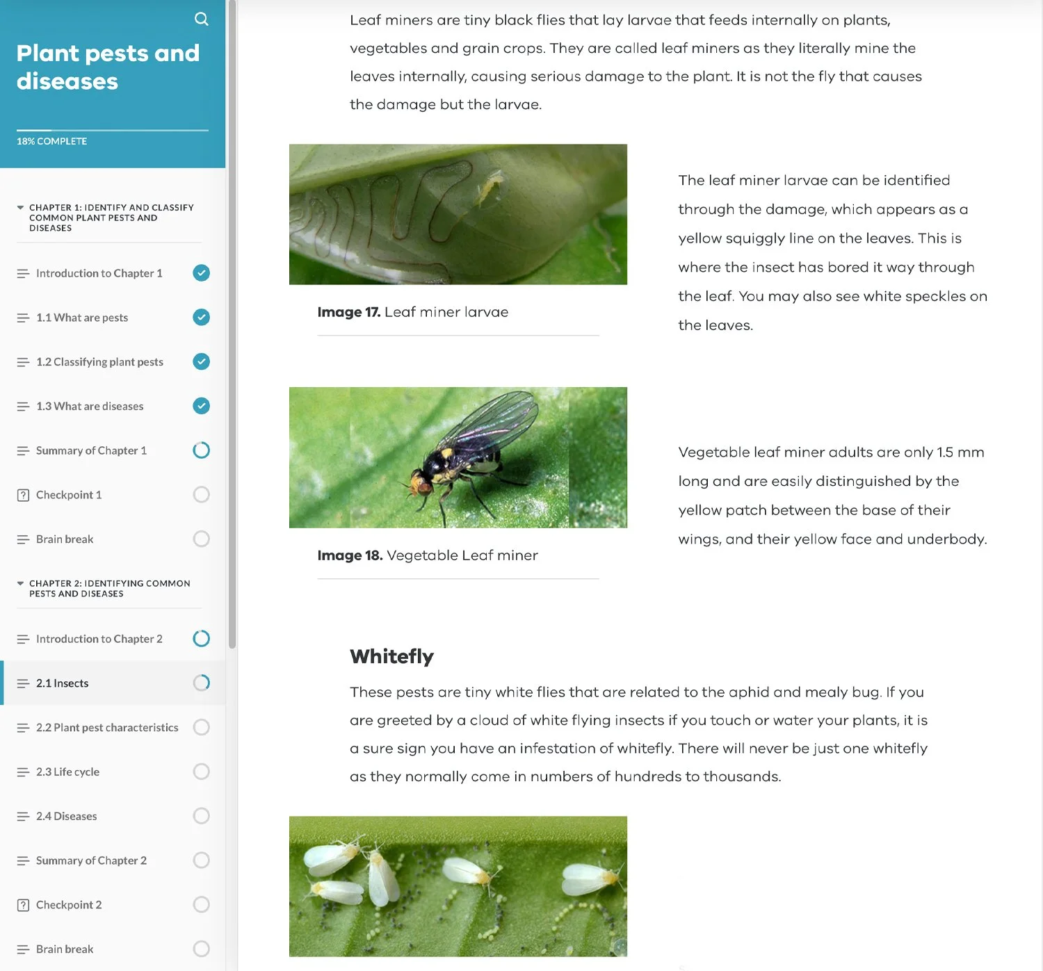Plant-Pests-and-Diseases-05.jpg