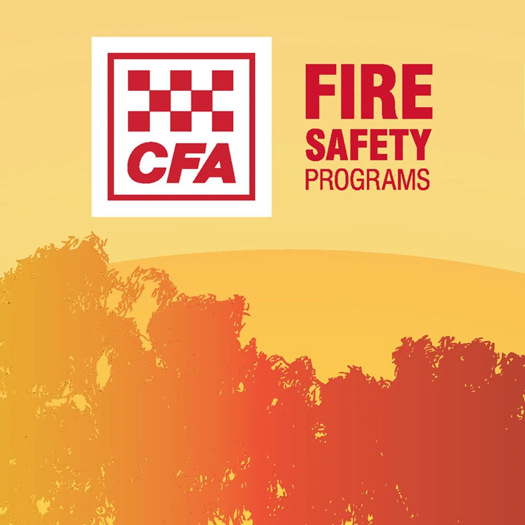 CFA-2.jpg