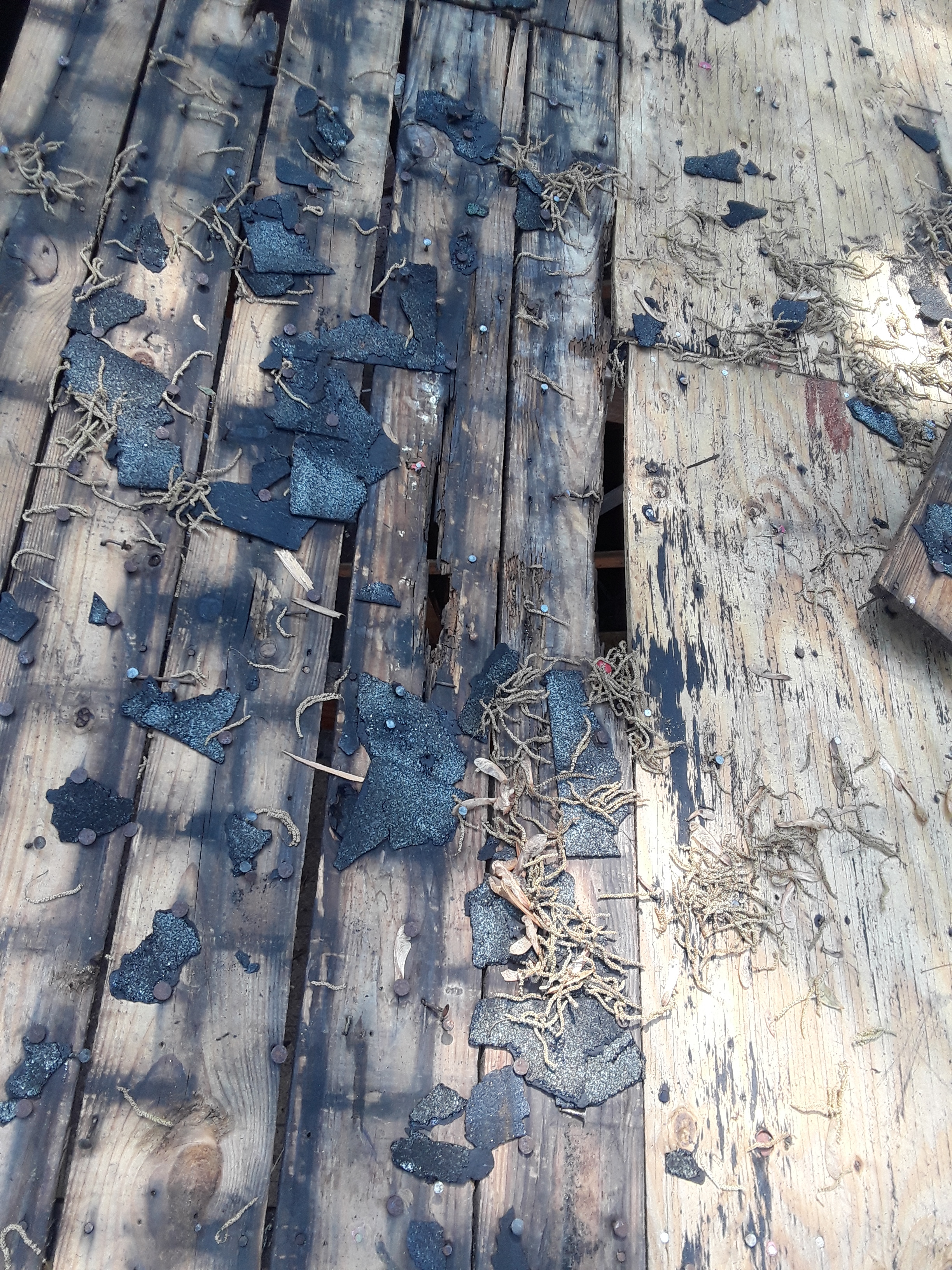 20180602_114232.jpg