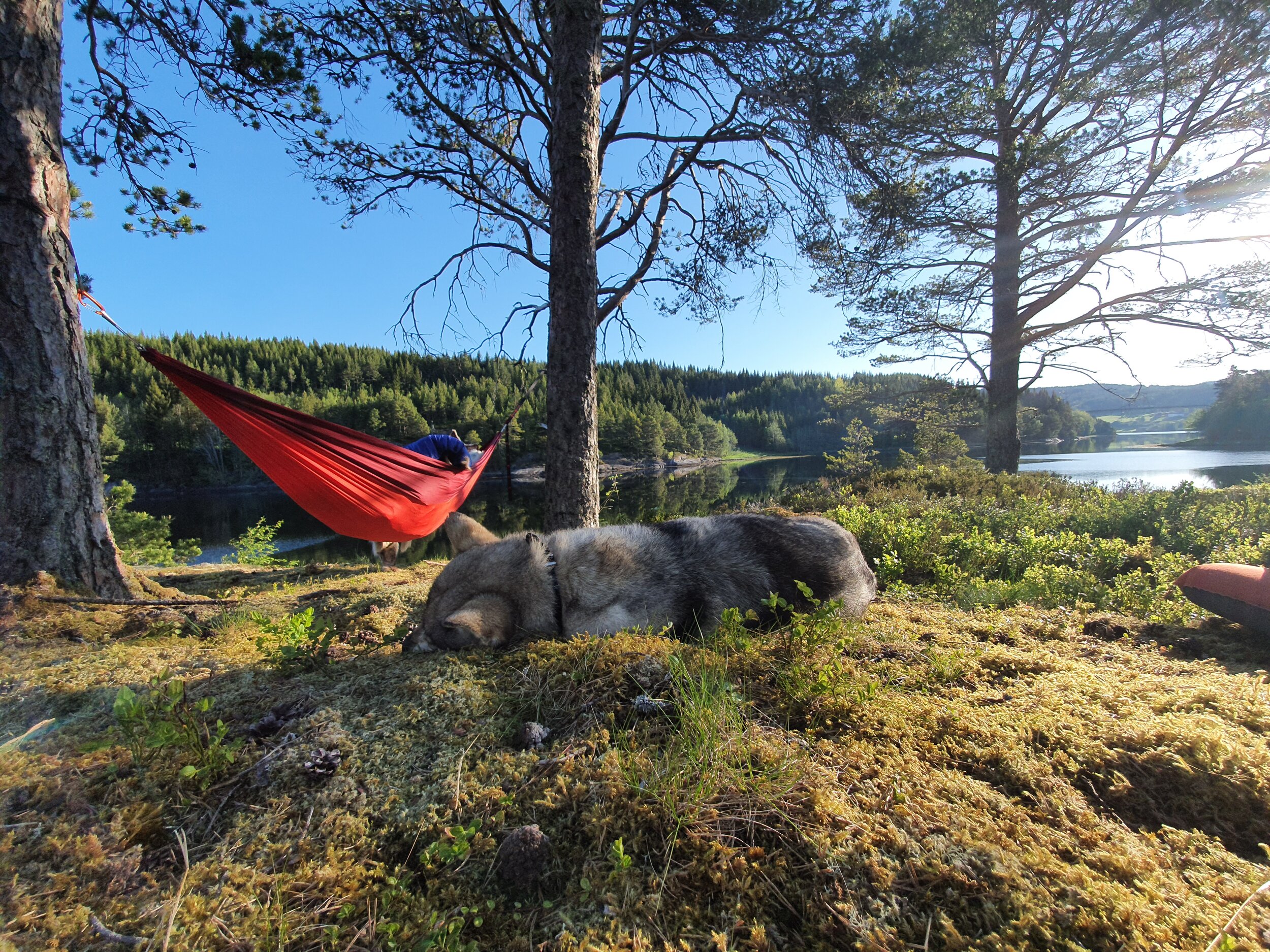 Engholmen - Fotograf Karen Sofie Godø: Friluftskaos4.jpg