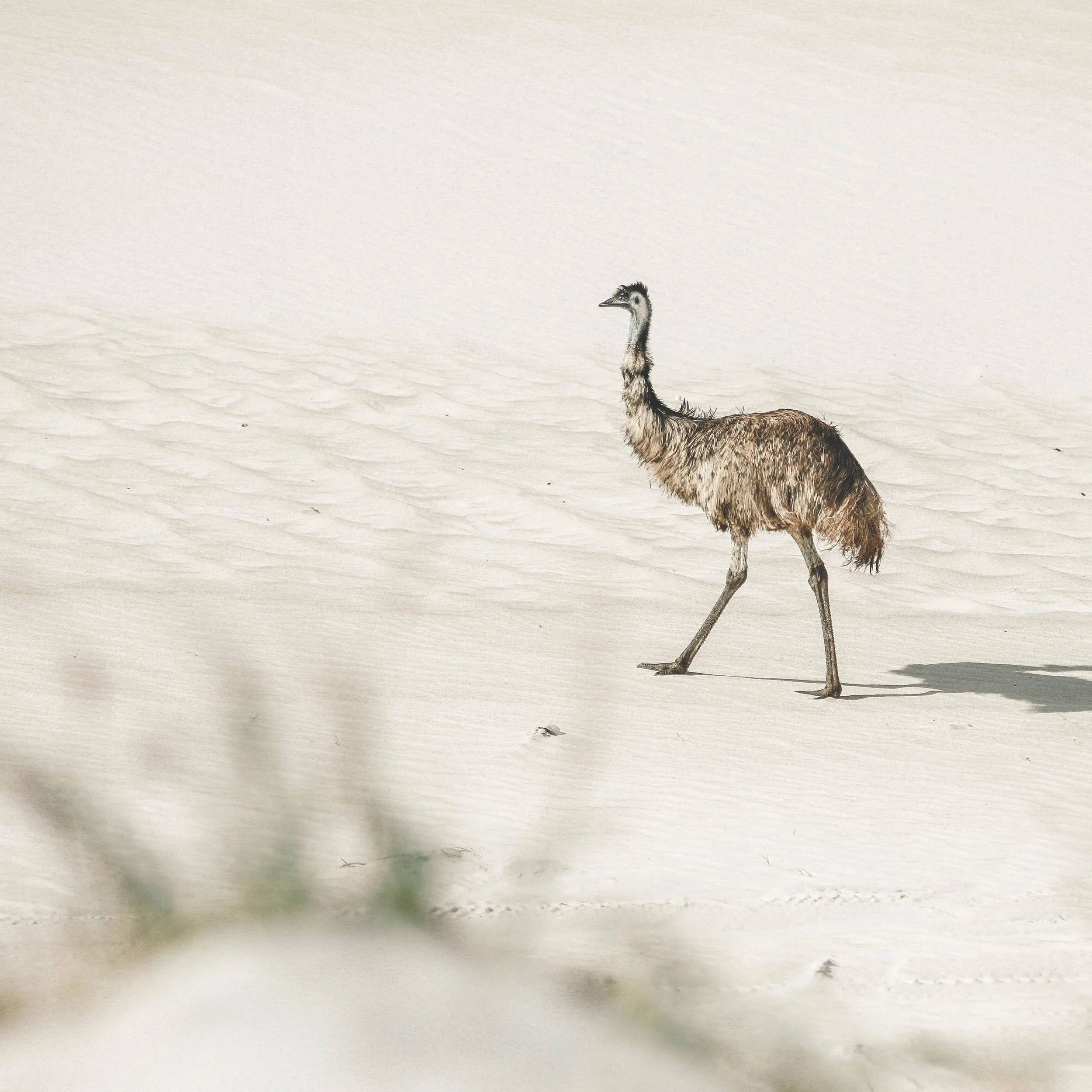 professionalphotographerperth.jpg