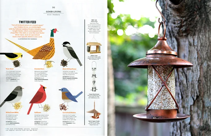 Bird Feeder
