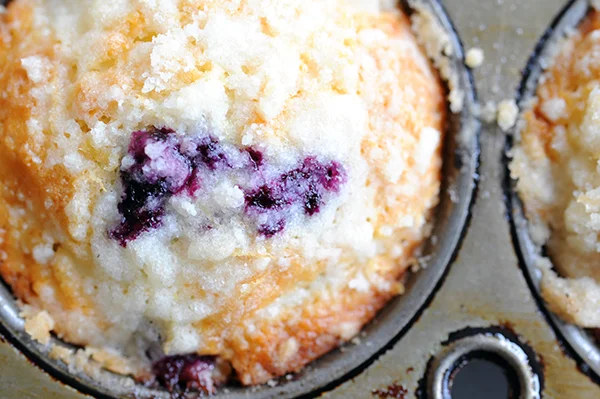 Blueberry Muffins-5890