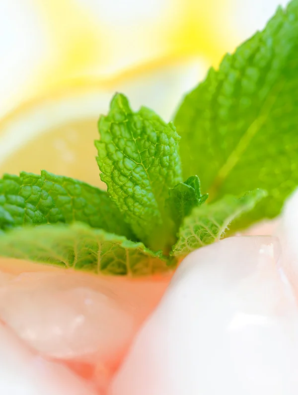 Lemonade Vodka-6214
