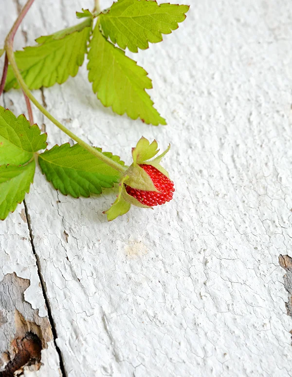 Strawberry Shortcake Cake-6669