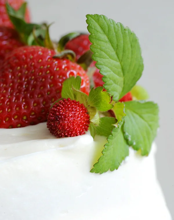 Strawberry Shortcake Cake-6672
