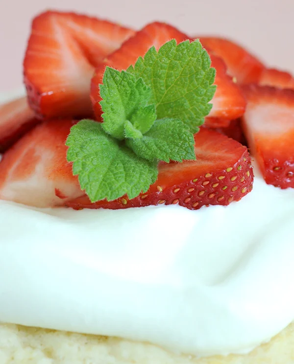 Strawberry Shortcake-7440