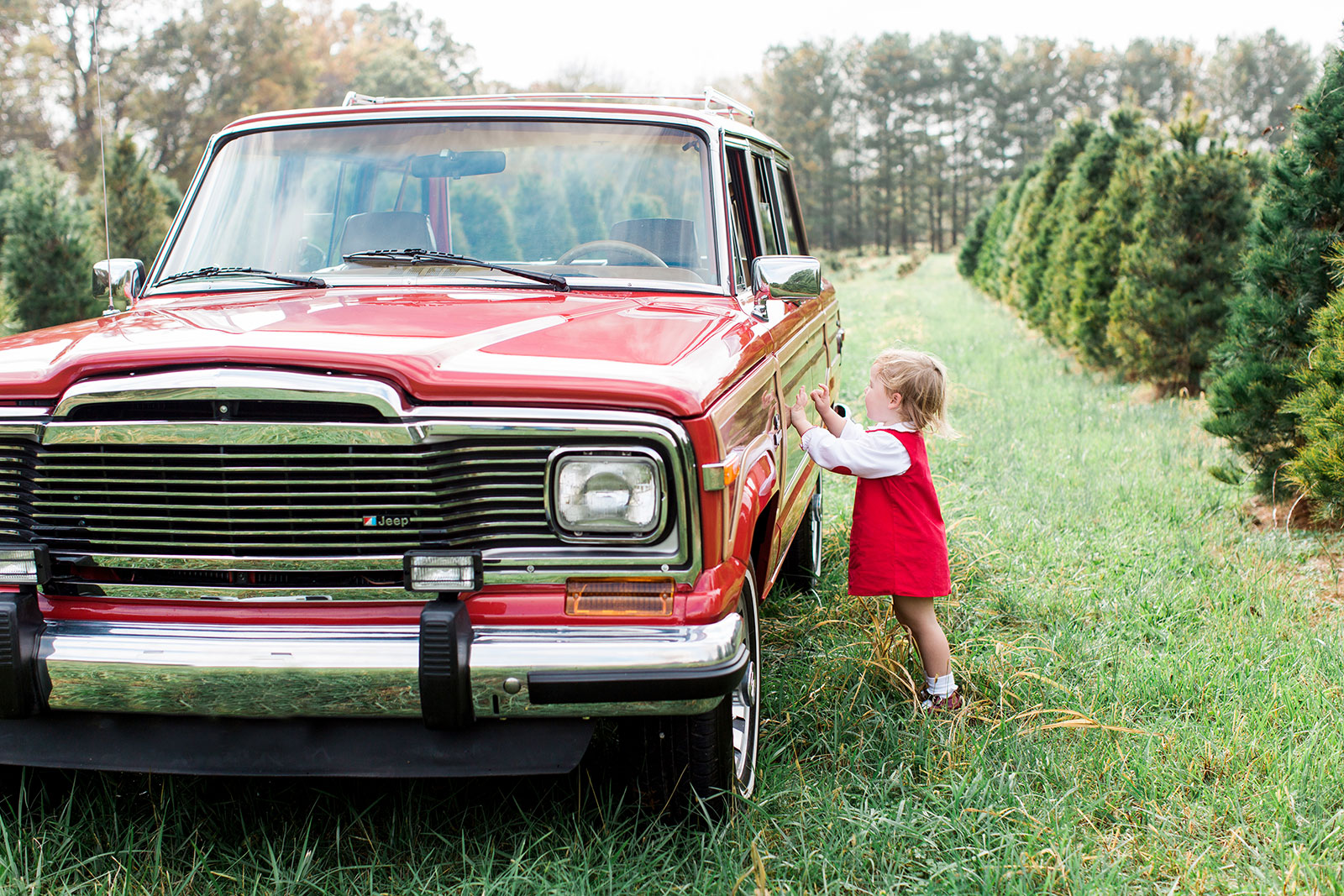 JacobsFamily_Nov17_AmyNicolePhotography042.jpg