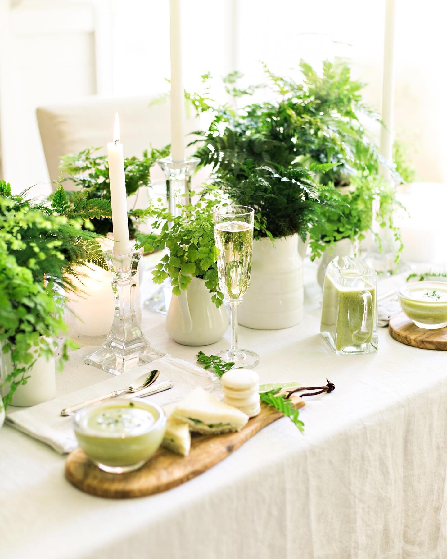 Cheers to the first day of spring. 🌿Here&rsquo;s to lighter and brighter days ahead! 

#firstdayofspring #springtable #stylingmyeveryday #springtablescape #ferncenterpiece Photos by @amynicolephoto for #somuchtocelebratebook