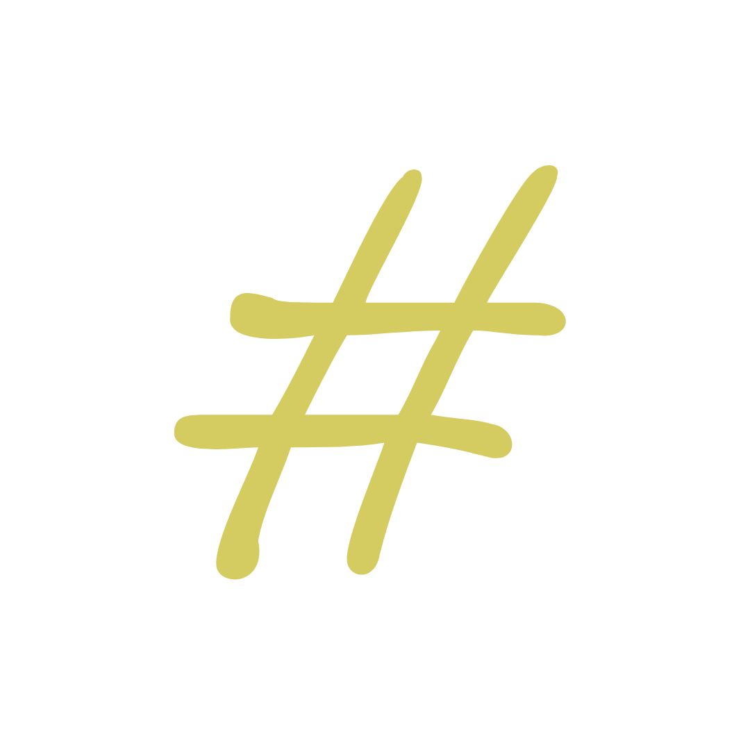 Social Media Manager in Auckland.png