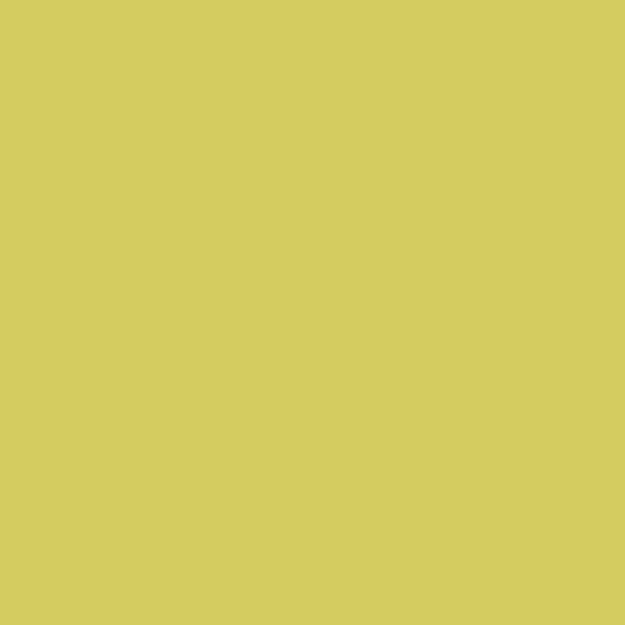 The Urban Wild - chartreuse.png