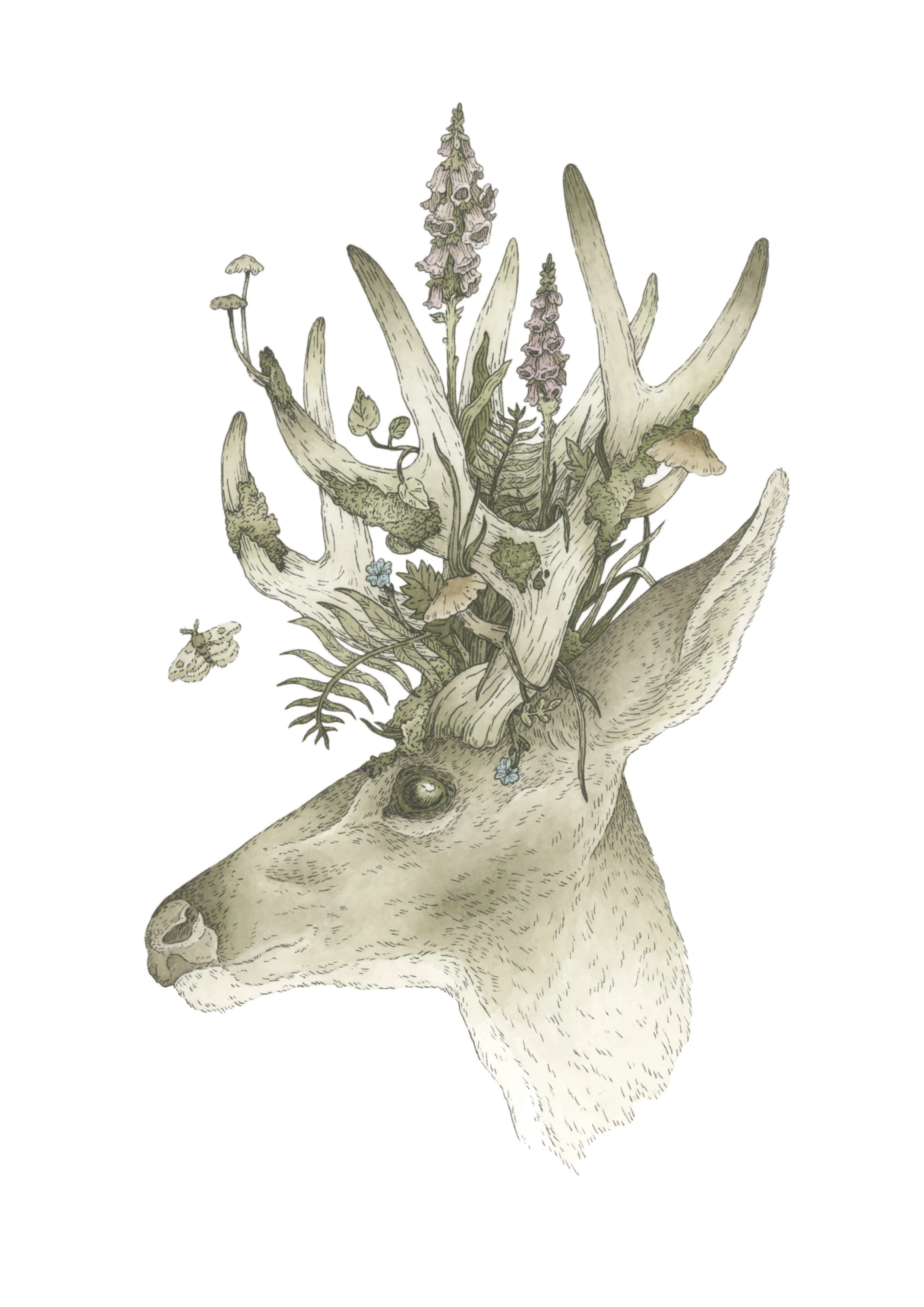 Spring Stag RGB.jpg