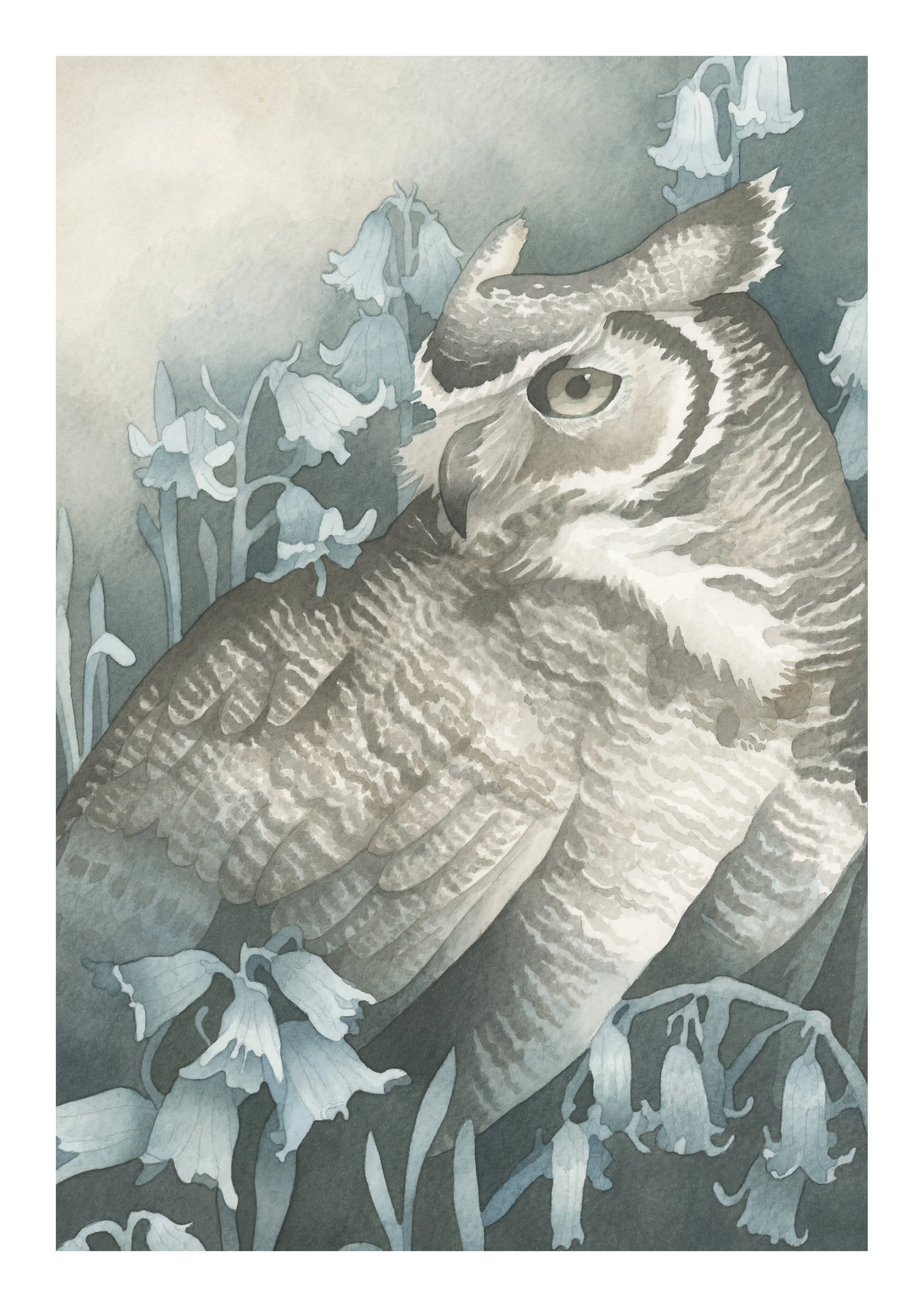 Bluebell Owl