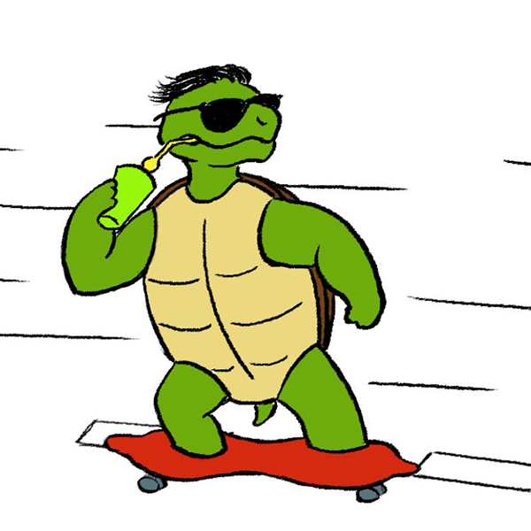 Skateboarding turtle - 2D animation