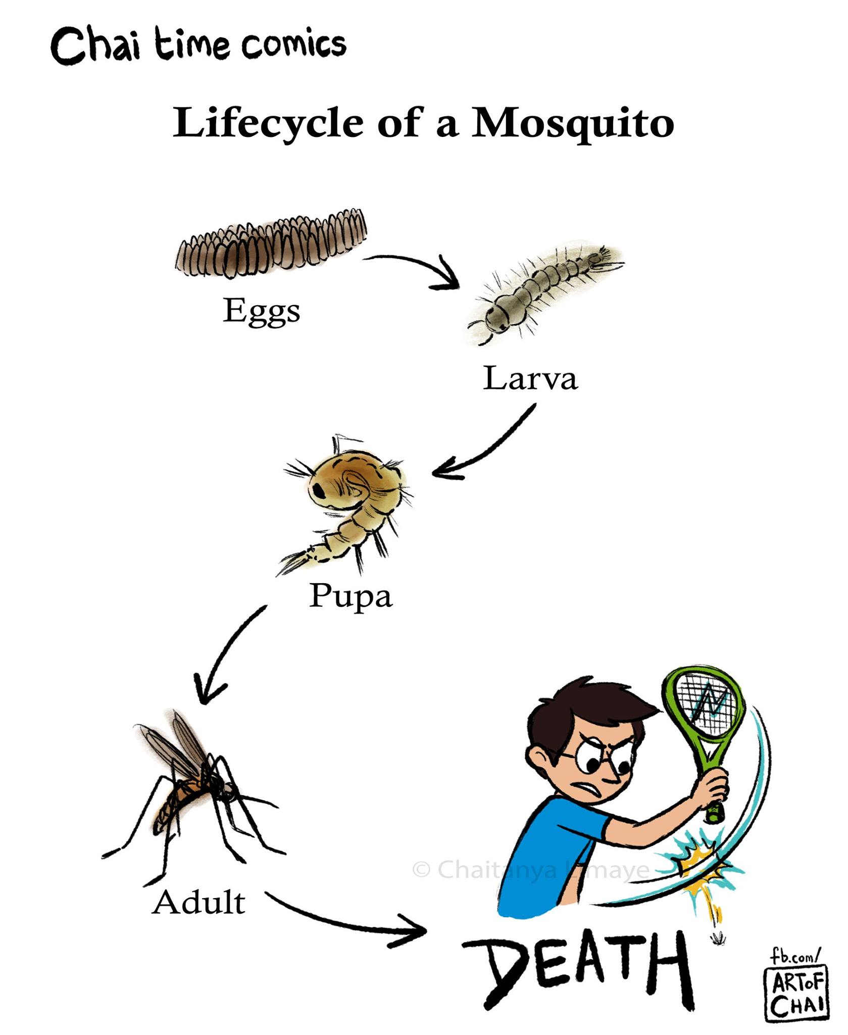 'Bye-ology of a Mosquito.'