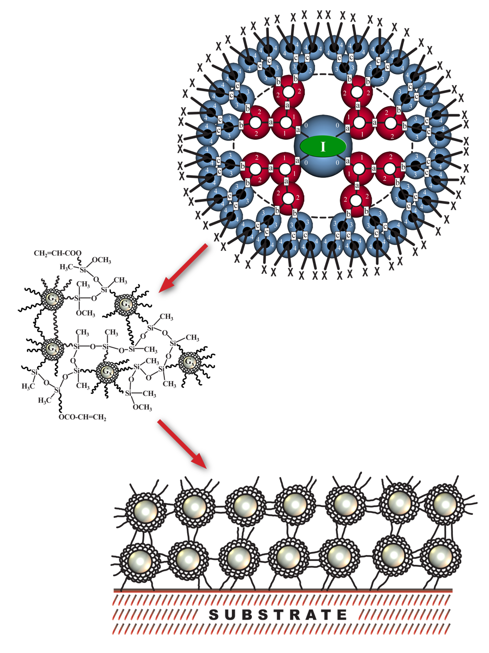 PAMAMOS-dendrimer.png