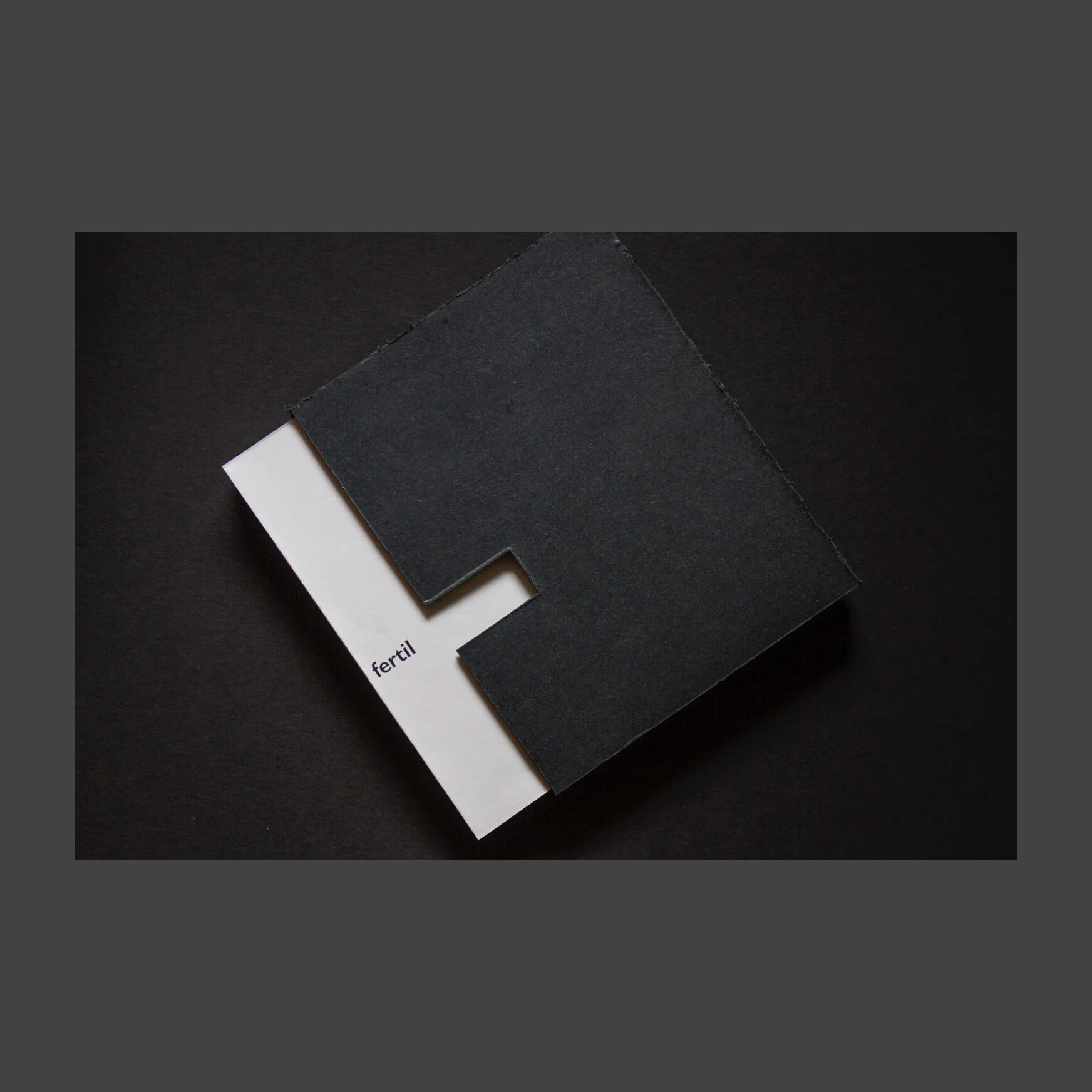 Vers. 2 (slip case - back)