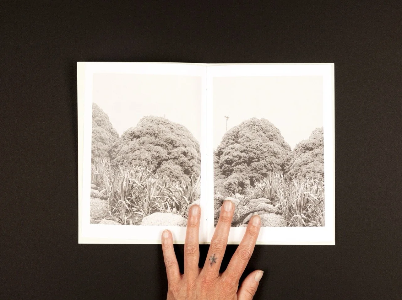 Pamflet_opslag 1 – stor.jpeg