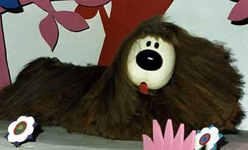 Dougal.jpg