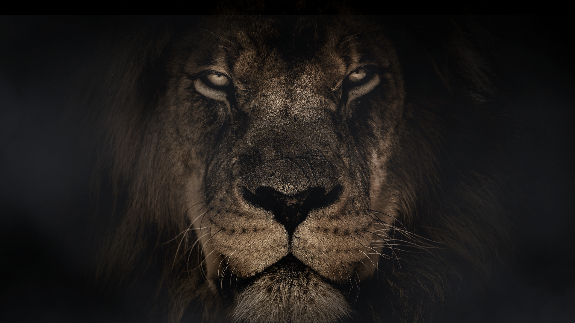 Lion Center Logo.png