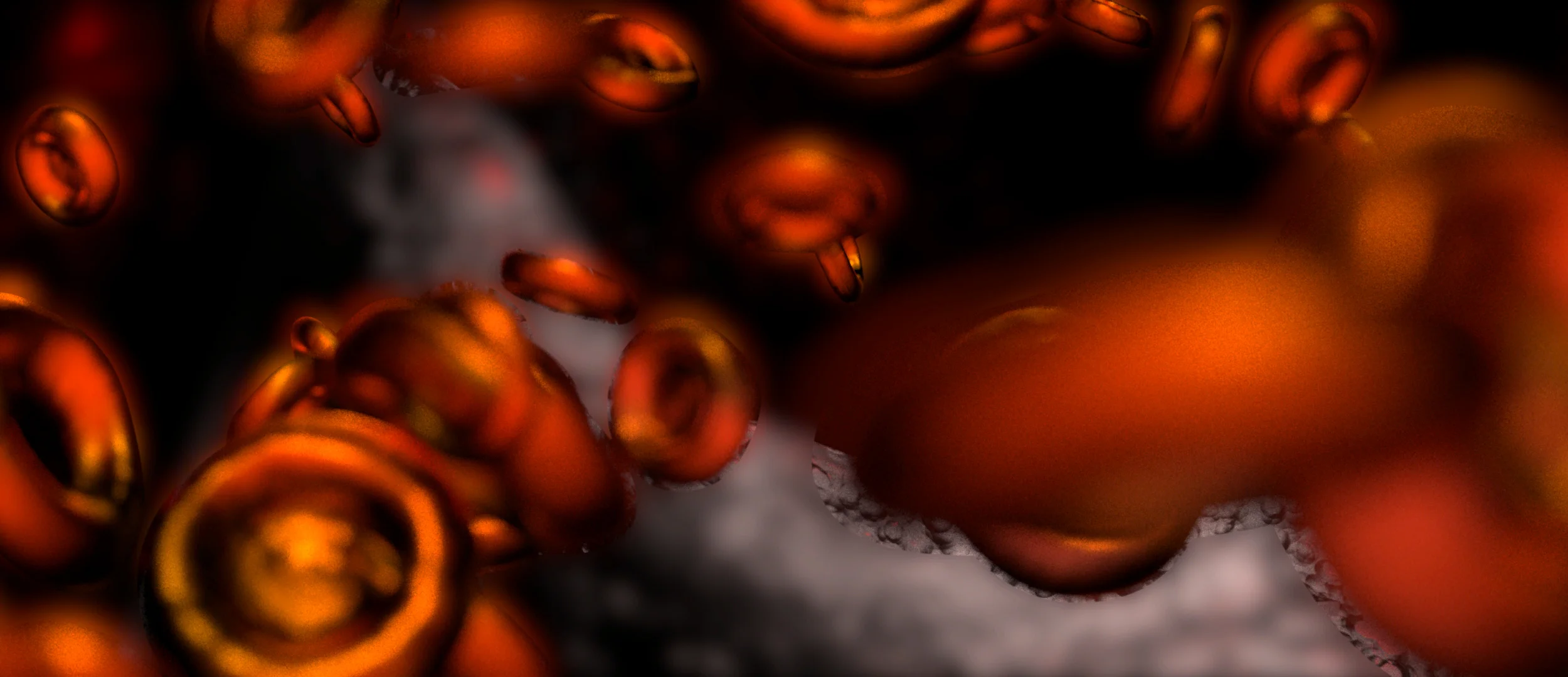 Bloodflow (0-00-03-14).jpg