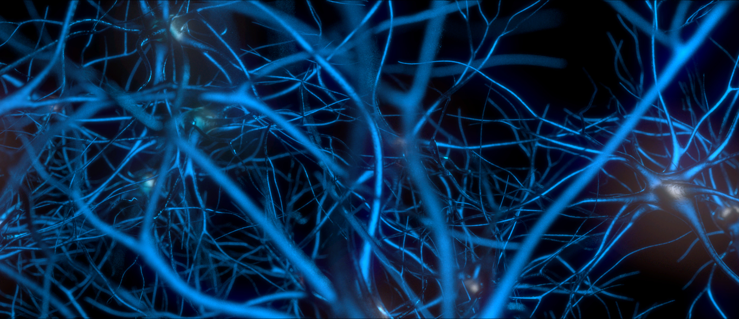 Neurons (0-00-00-00).jpg