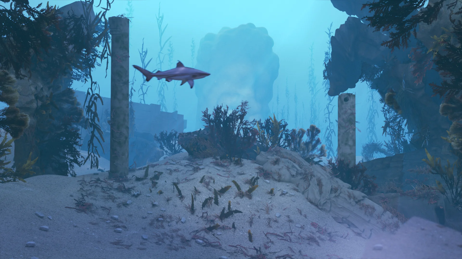 Ocean_mid (0-01-45-14).jpg