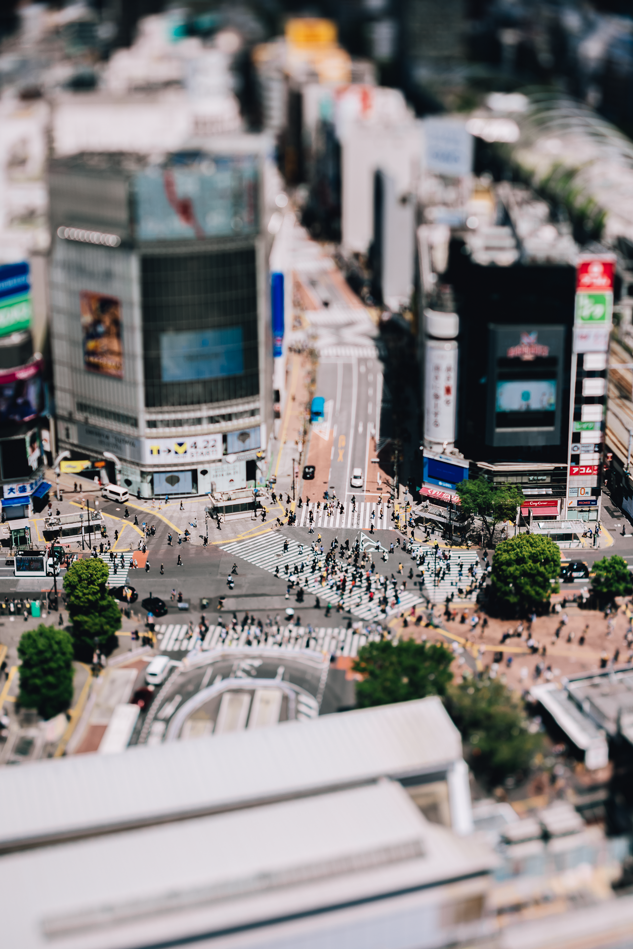 Andres_Järv-16apr-PNG-WEB- (7).png