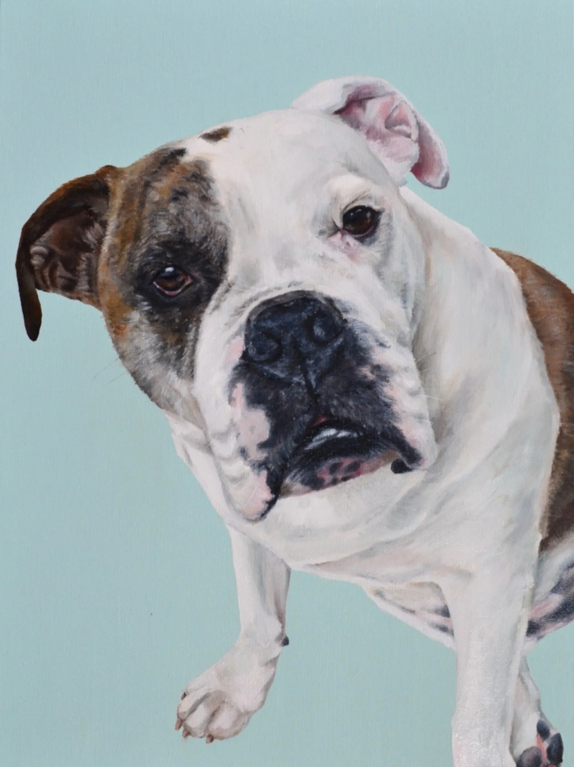 Bocephus_Rachel Wade Art.jpg