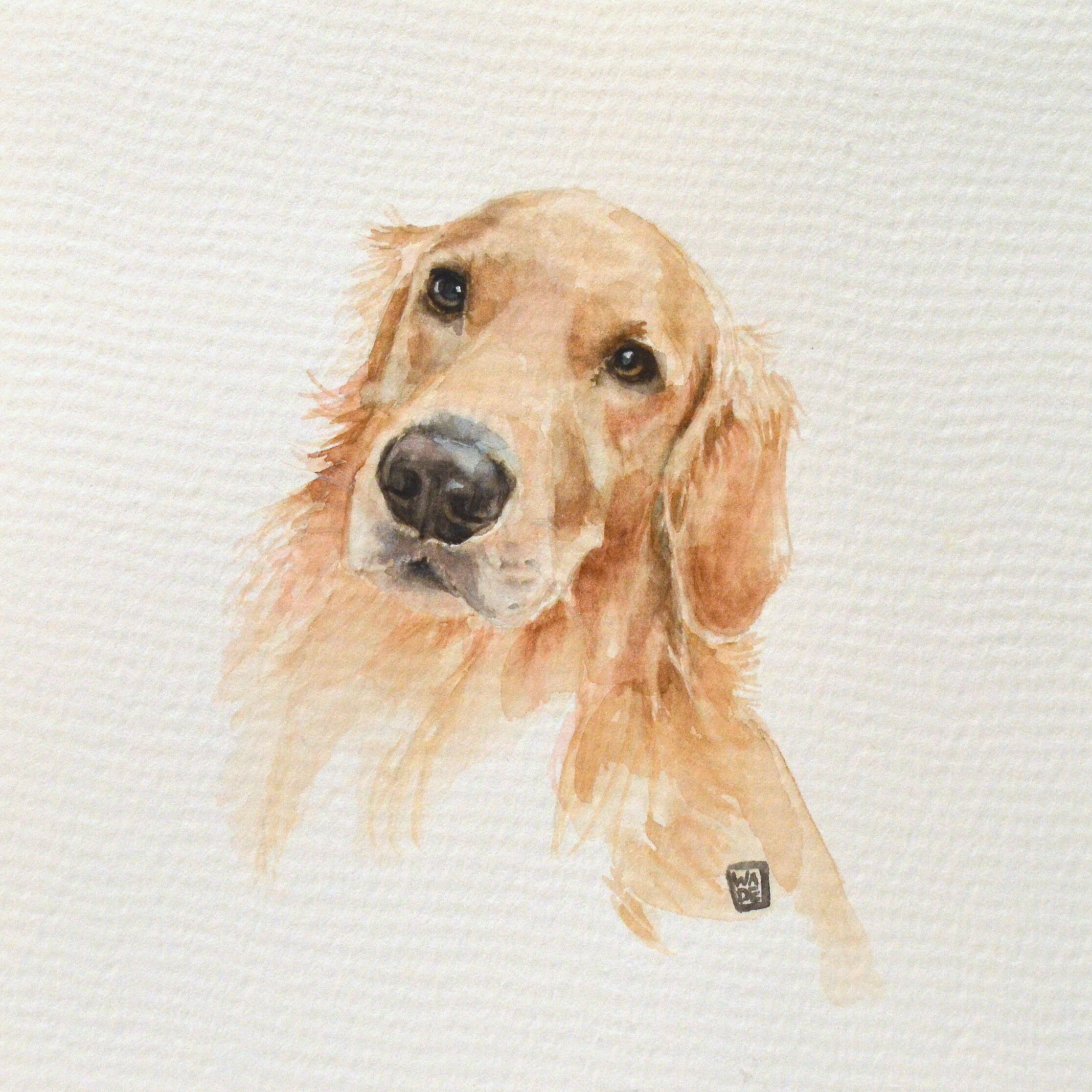 PETS watercolor — Rachel Wade Art