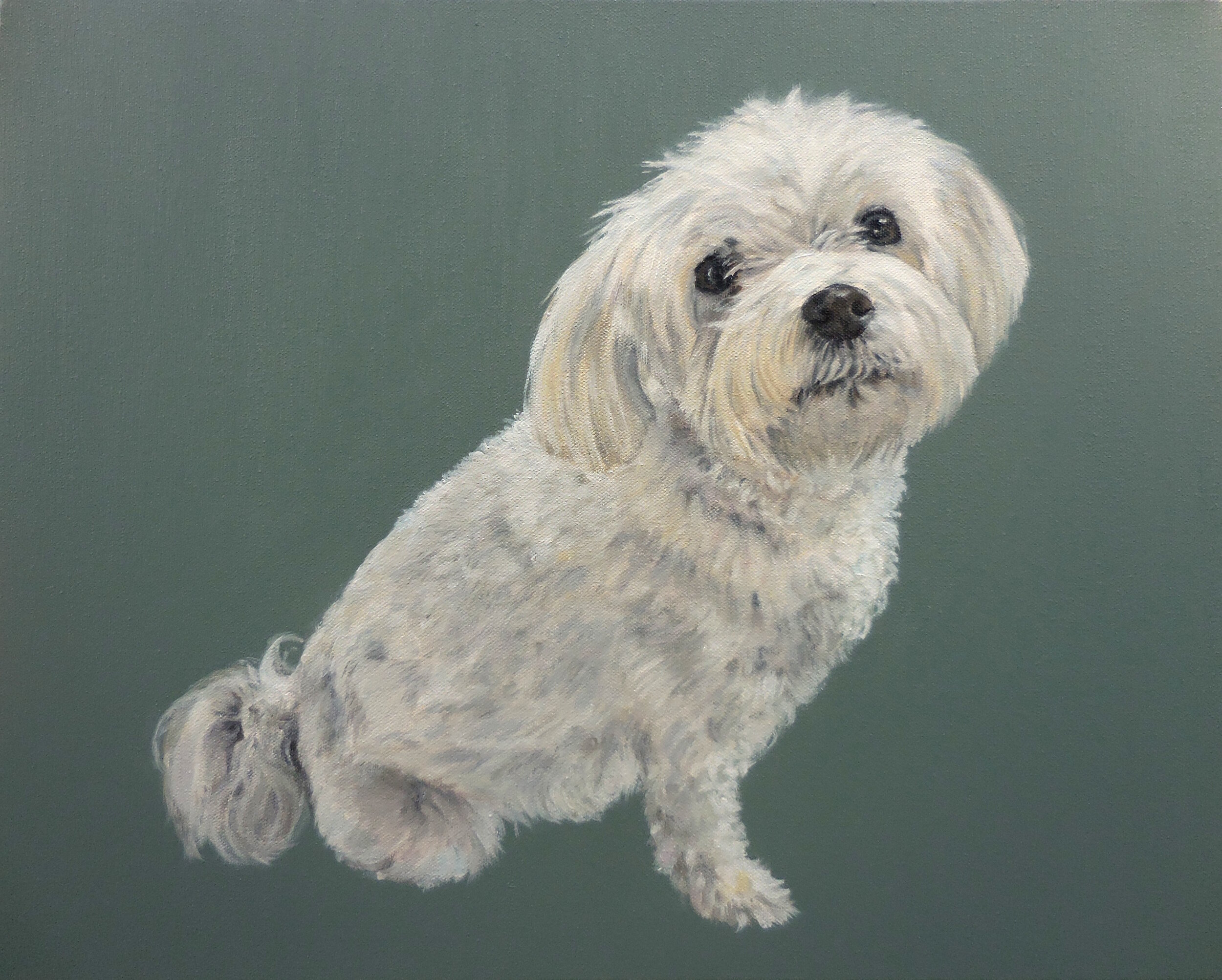 Bidwell Dog_Rachel Wade Art.jpg