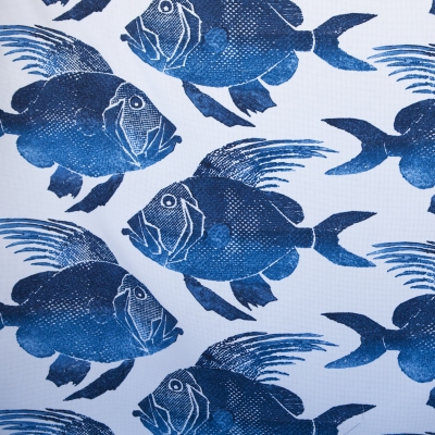 blue fish.jpg