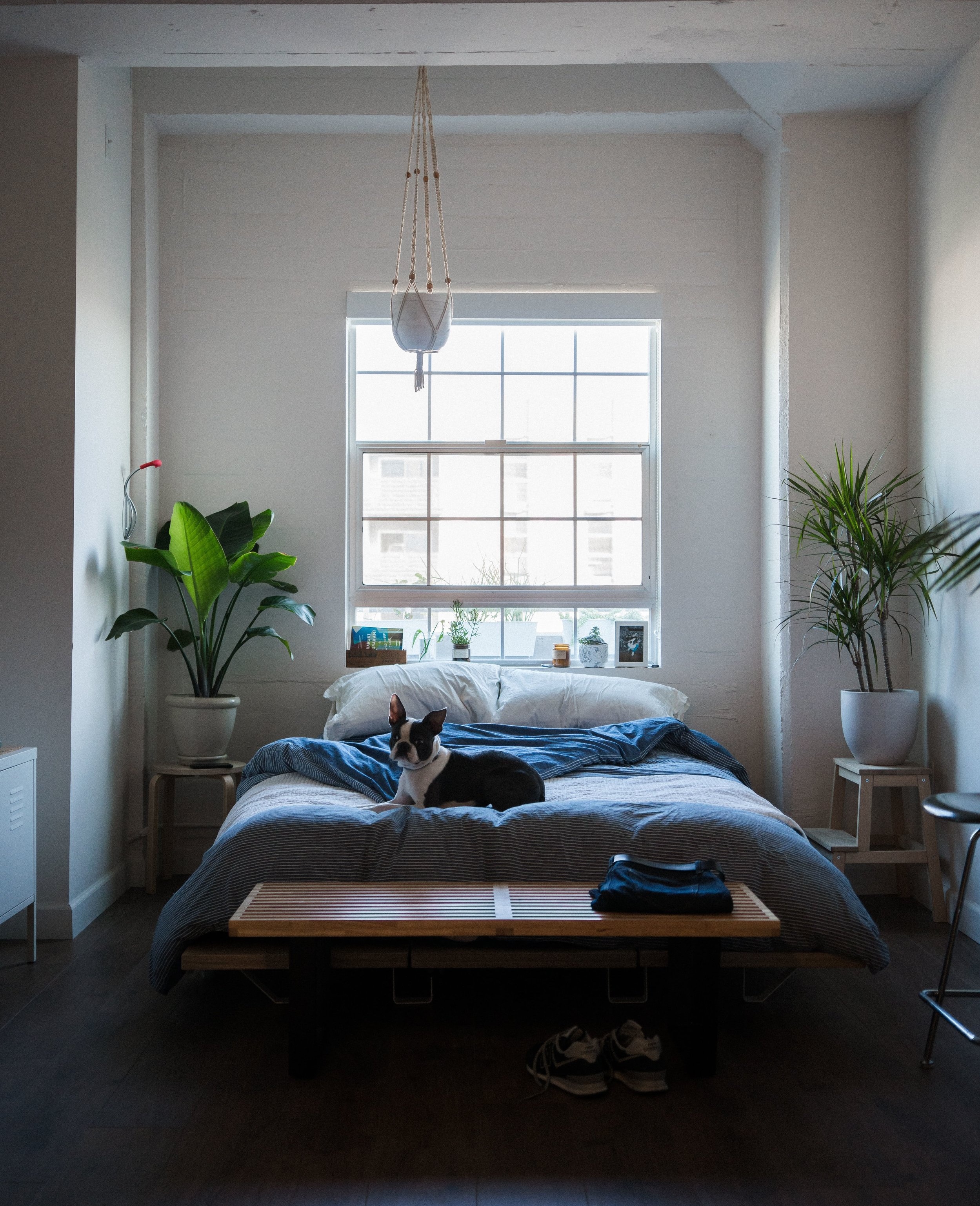 mike-marquez-589521-unsplash-min.jpg