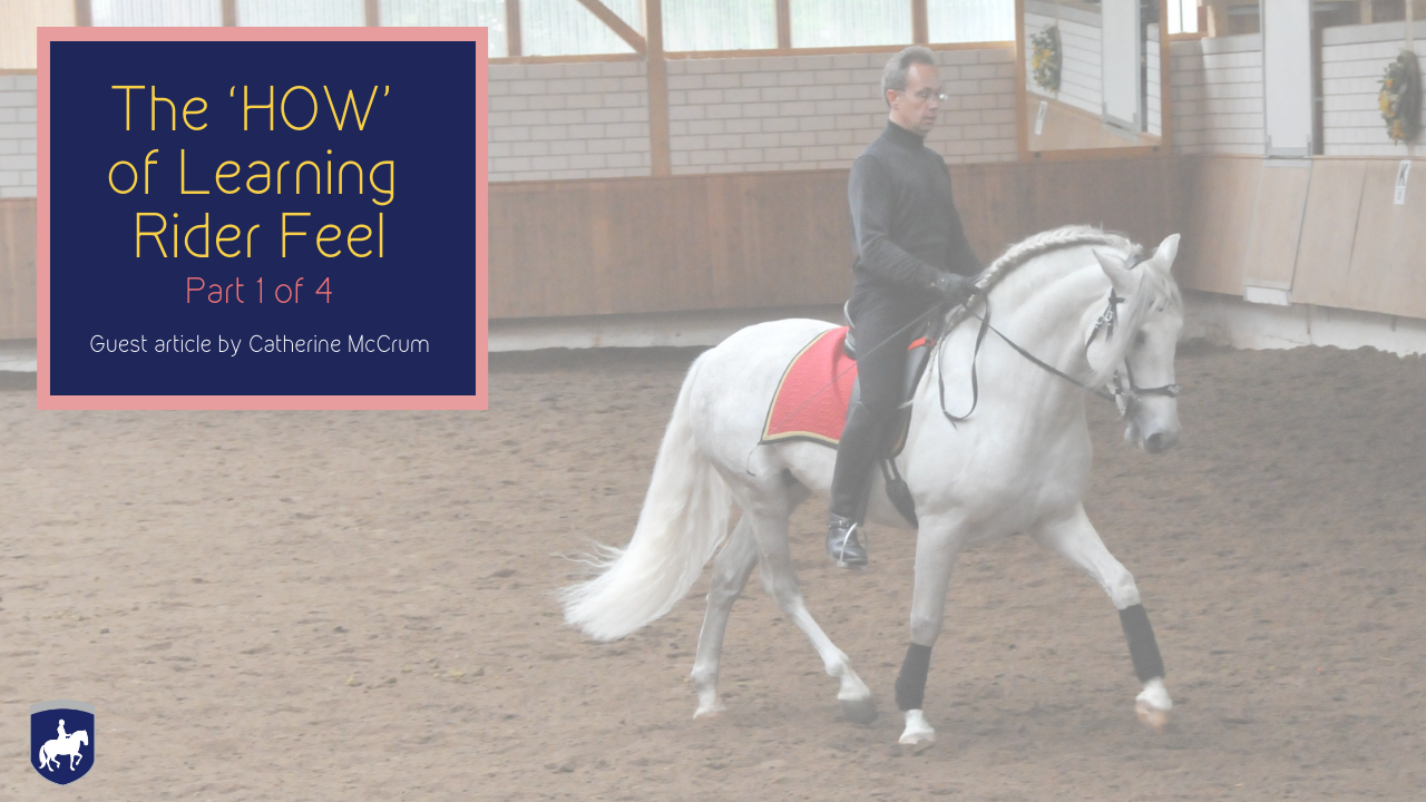 067b The ‘HOW’ of Learning Rider Feel Part 1 of 4.png