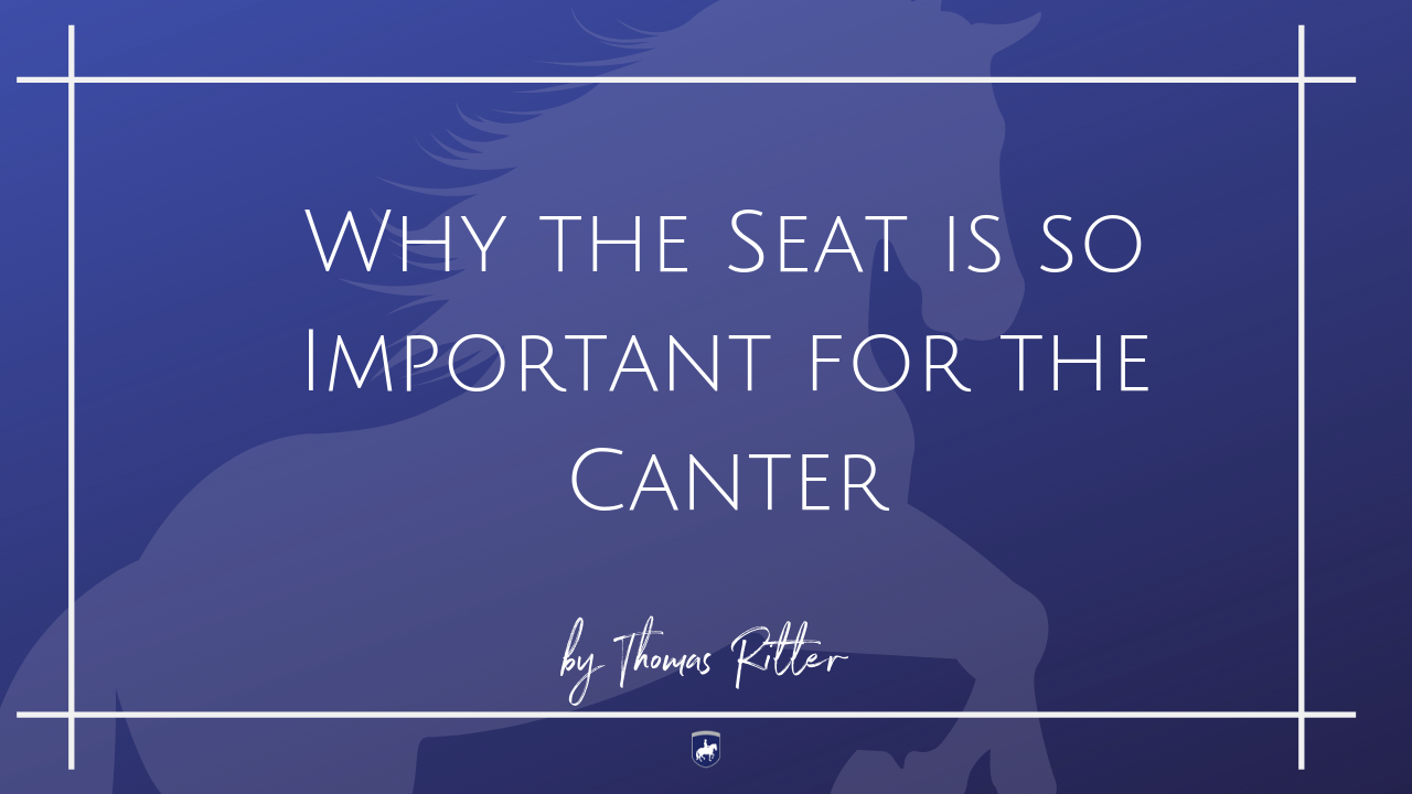 Why the Seat is so Important for the Canter.png