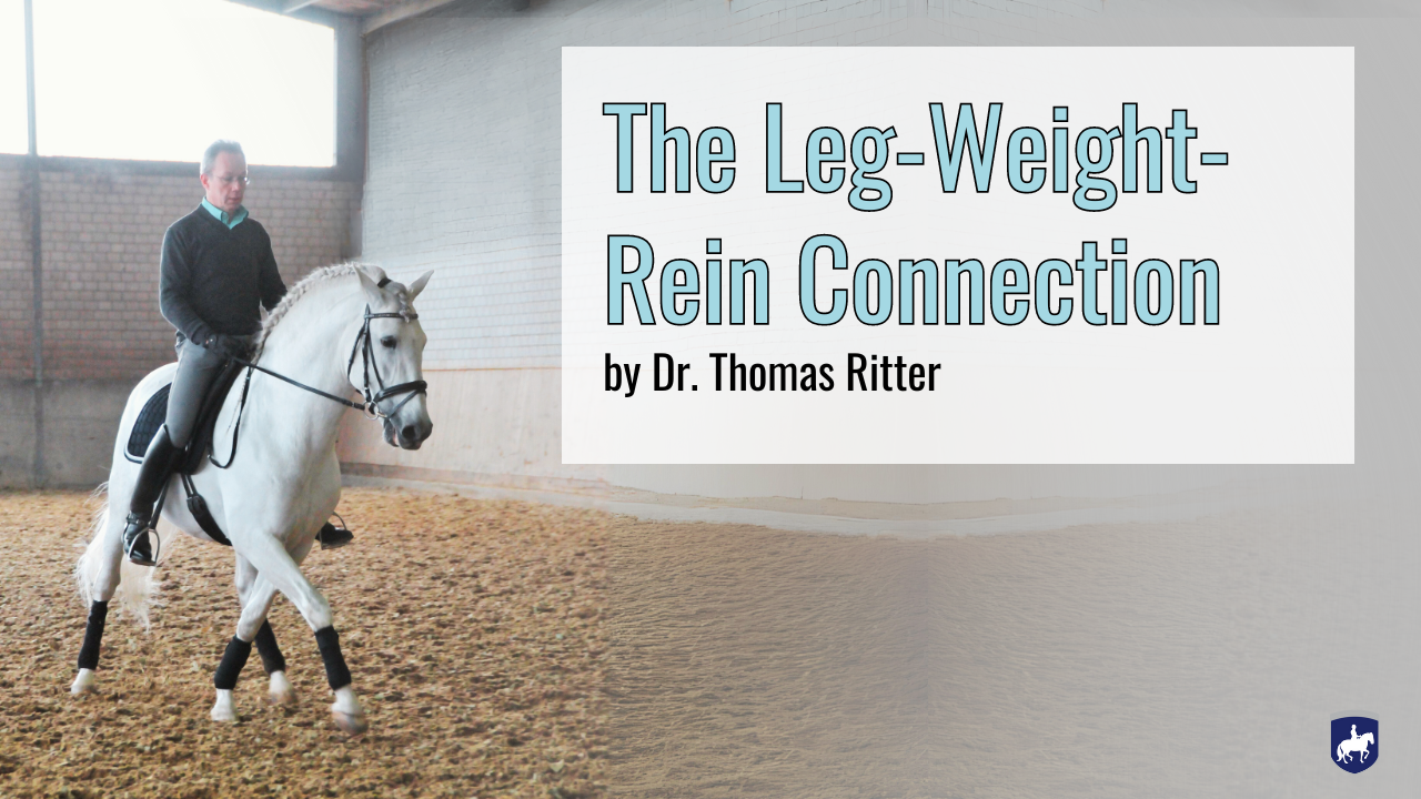 The Leg Weight Rein Connection Ritter Dressage