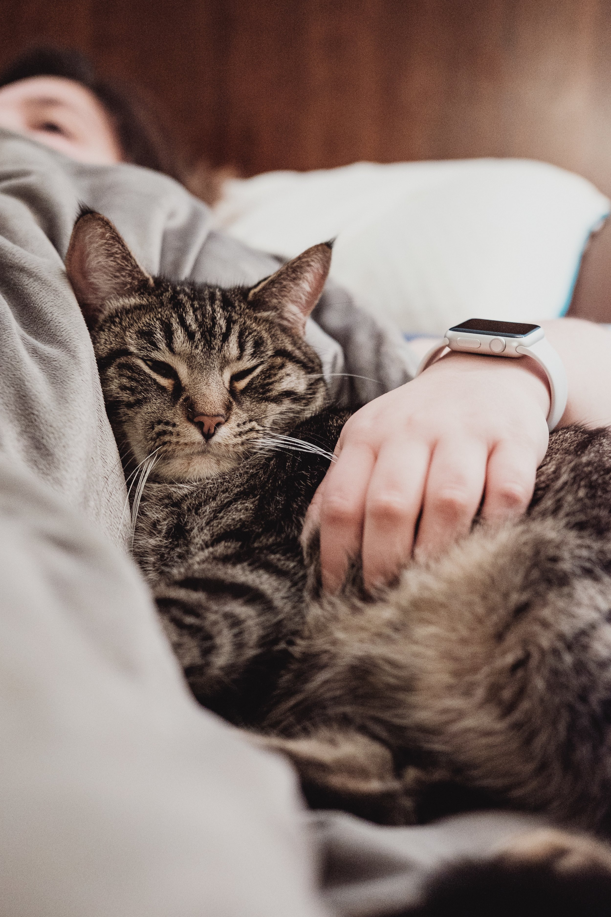 cat sleeping next to woman