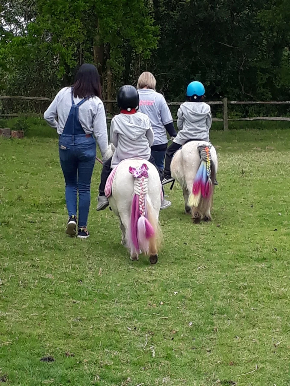 Unicorn for Grace 5.jpeg