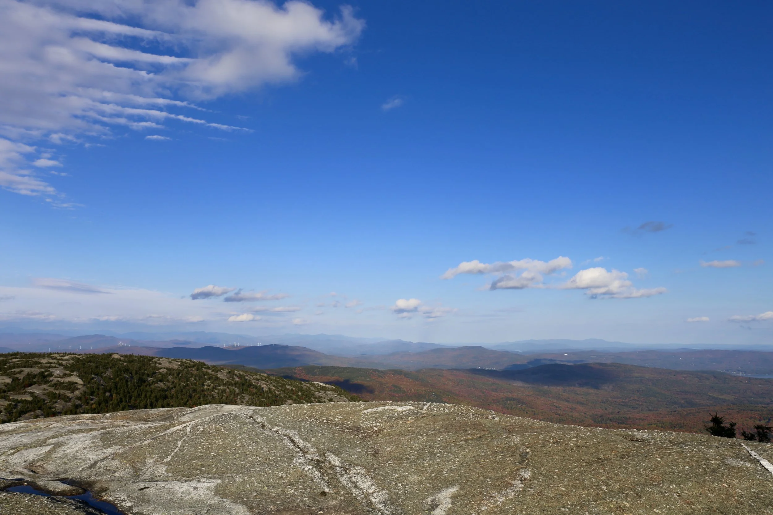 IMG_1642.jpg