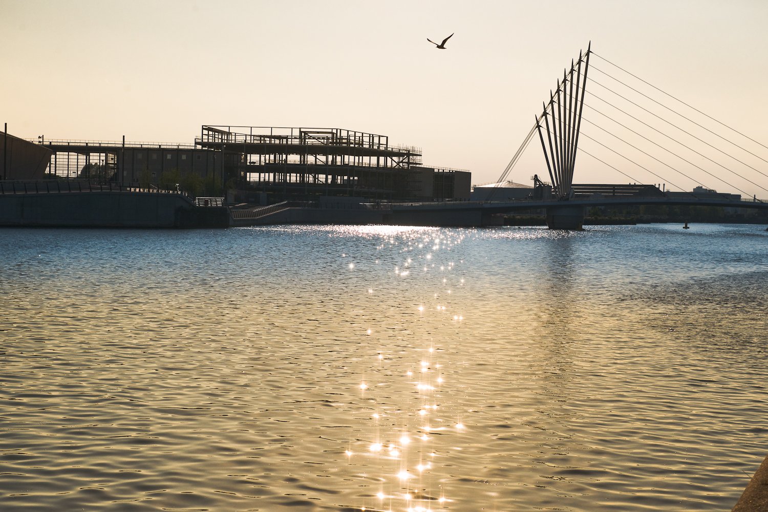 low.res.MediaCityUK2012_15.jpg