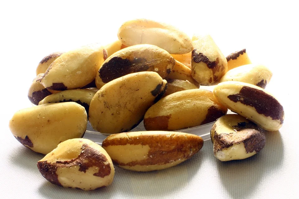 Selenium: A Key Nutrient In Integrative Thyroid Health