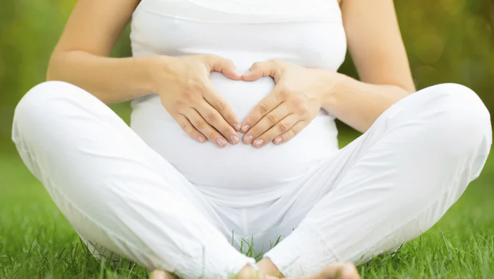 Integrative Fertility : A Holistic approach to pregnancy