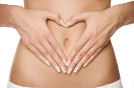 The Importance of Gut Health