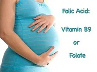 Pregnancy Tips : Importance of Folate