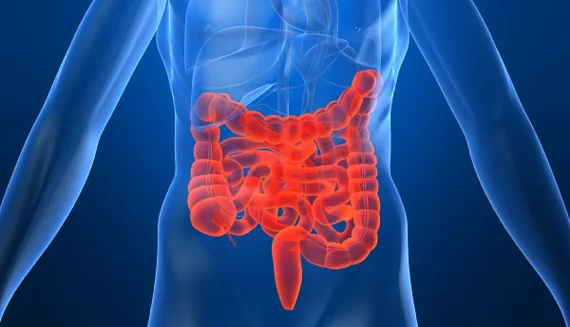 irritable_bowel_syndrome1.jpg