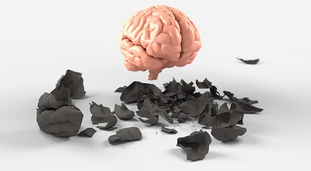 brain-3438742_640.jpg