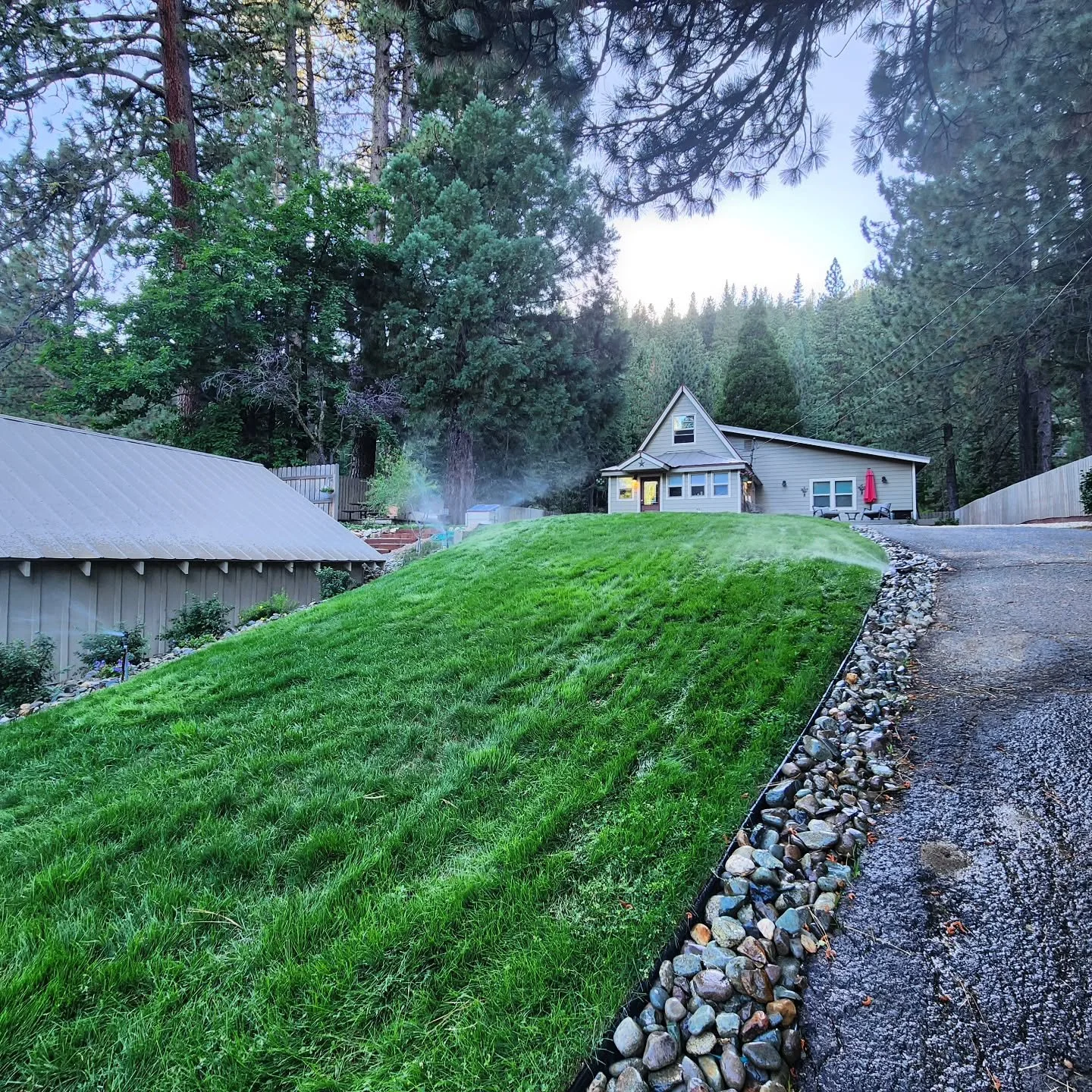 Swipe for the before...2 weeks in....and now... We take our turf seriously and love when our customers have the best lawn on the block.