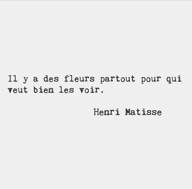 il y a des fleurs partout pour qui veut bien les voir - There are flowers everywhere for those who really want to see them.