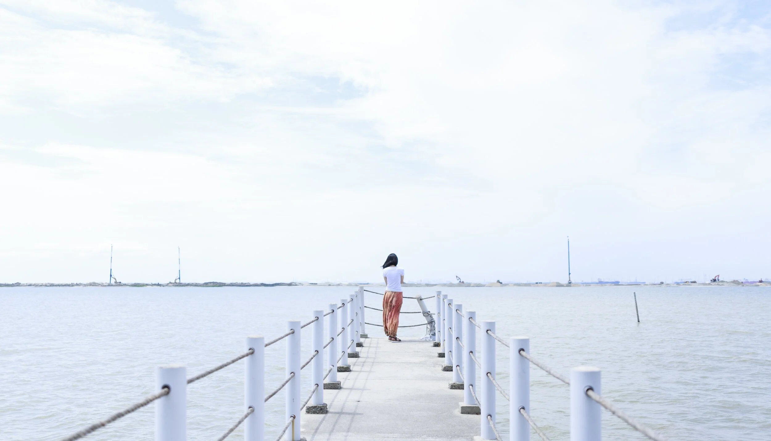 alone-back-view-beach-calm-460211.jpg